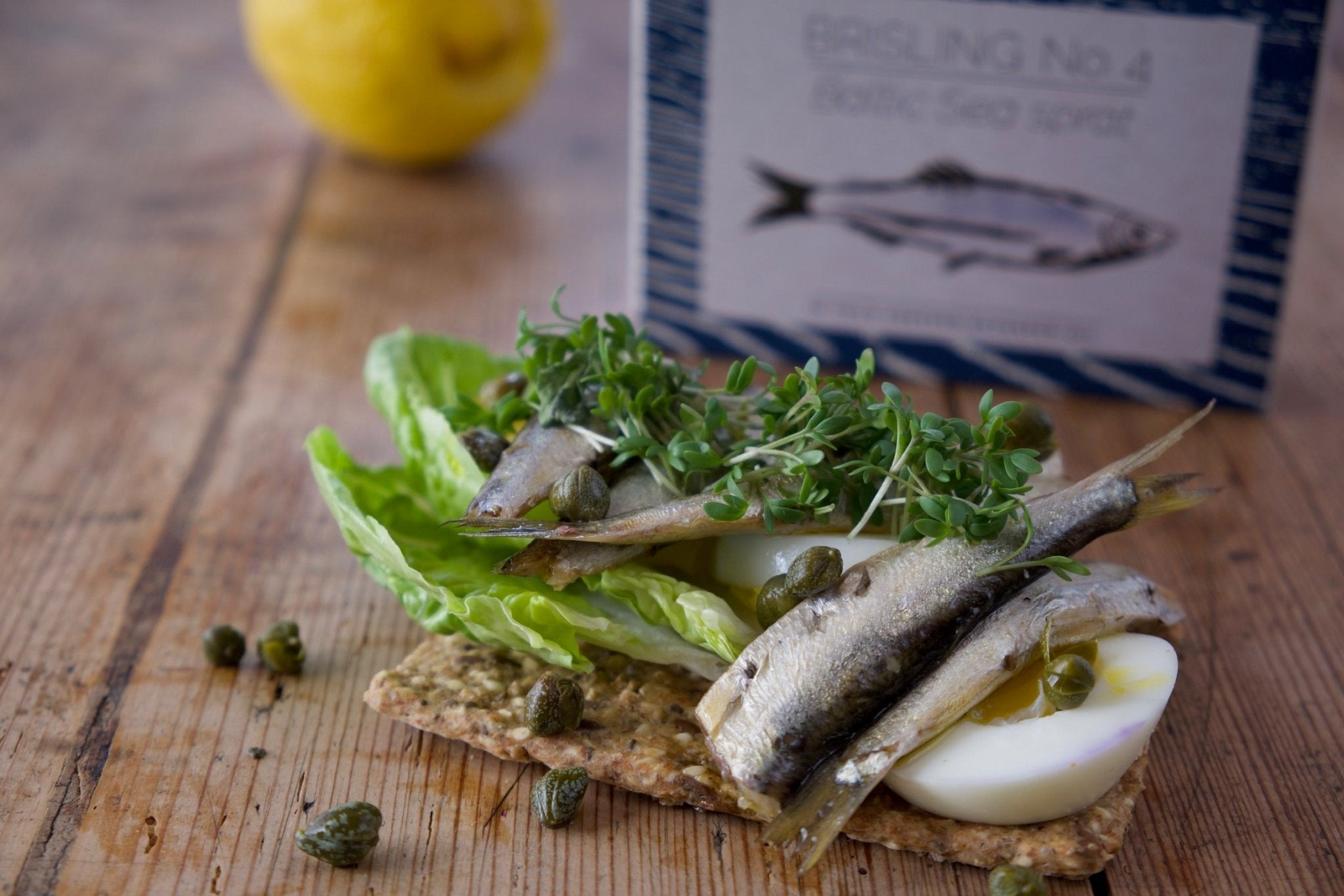 Skarpsill (Brisling No. 4)